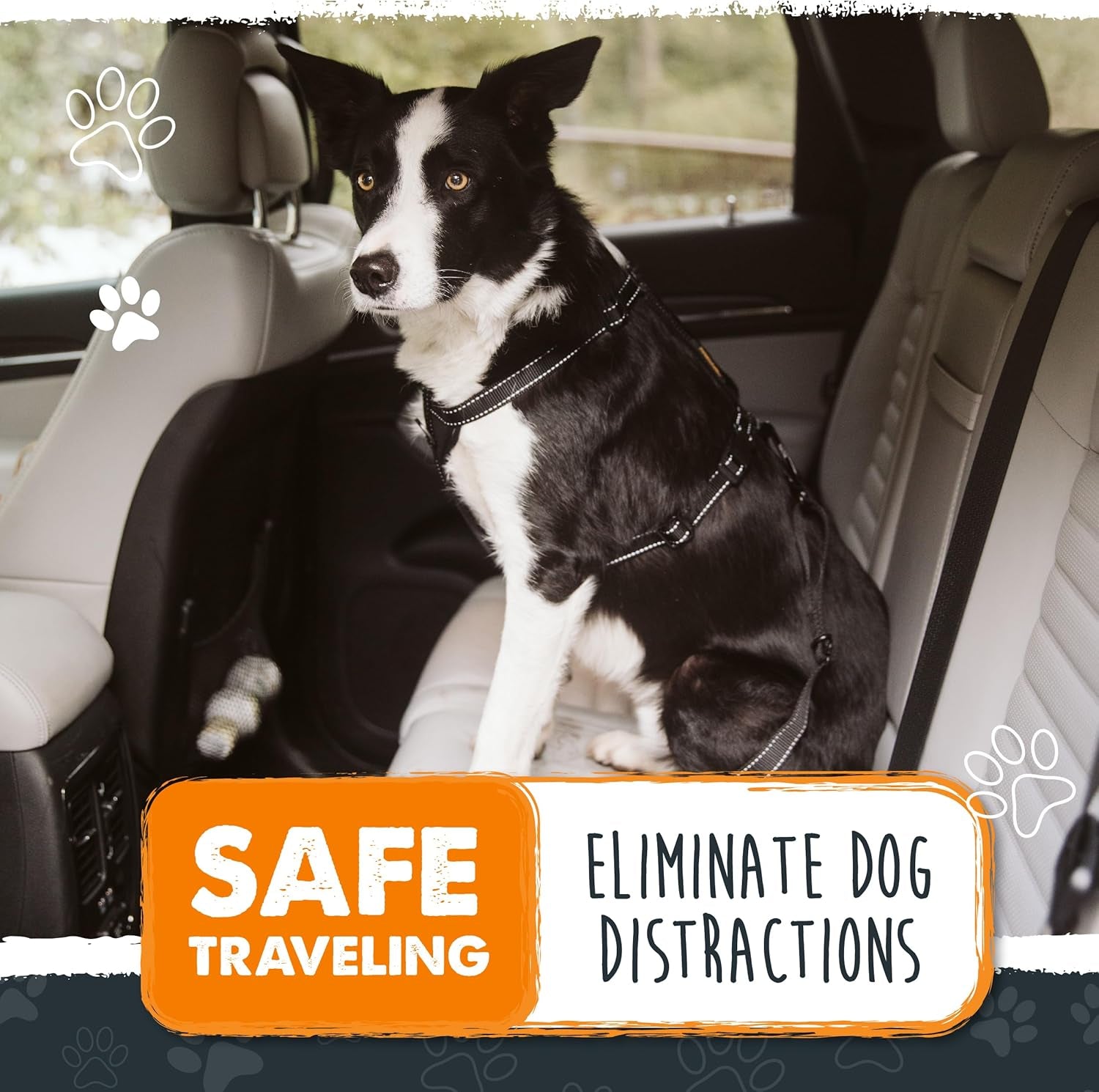 Dog Car Seat Belt | Universal Pet Safety Belt, Created with Human Seatbelt Material. All-Metal Hardware with Adjustable Length Strap. Exceeds Safety Standards. Keep Your Dog Secure (Black)